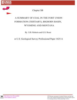 Chapter SB a SUMMARY of COAL in the FORT UNION FORMATION