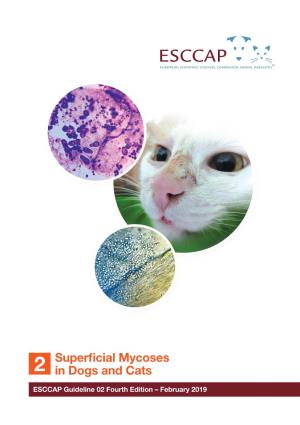 Superficial Mycoses in Dogs and Cats 16
