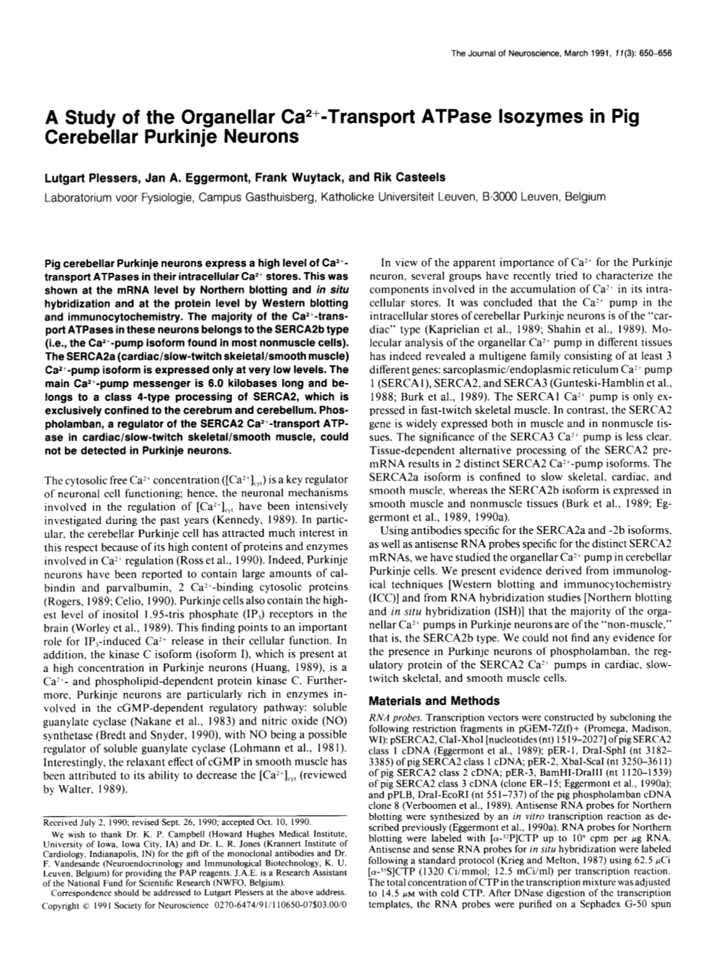 Transport Atpase Lsozymes in Pig Cerebellar Purkinje Neurons