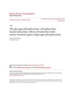 The Glycogen Phosphorylase