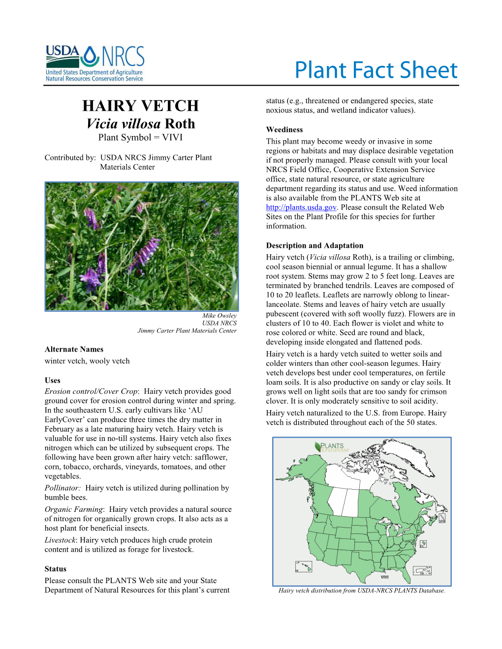 Hairy Vetch(Vicia Villosa)Roth Plant Fact Sheet