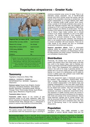 Tragelaphus Strepsiceros – Greater Kudu