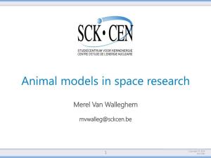 Animal Models in Space Research