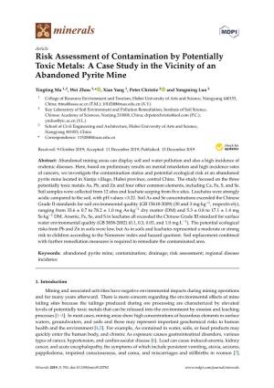 Risk Assessment of Contamination by Potentially Toxic Metals: a Case Study in the Vicinity of an Abandoned Pyrite Mine