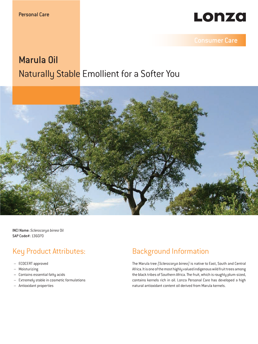 Marula Oil Naturally Stable Emollient for a Softer You