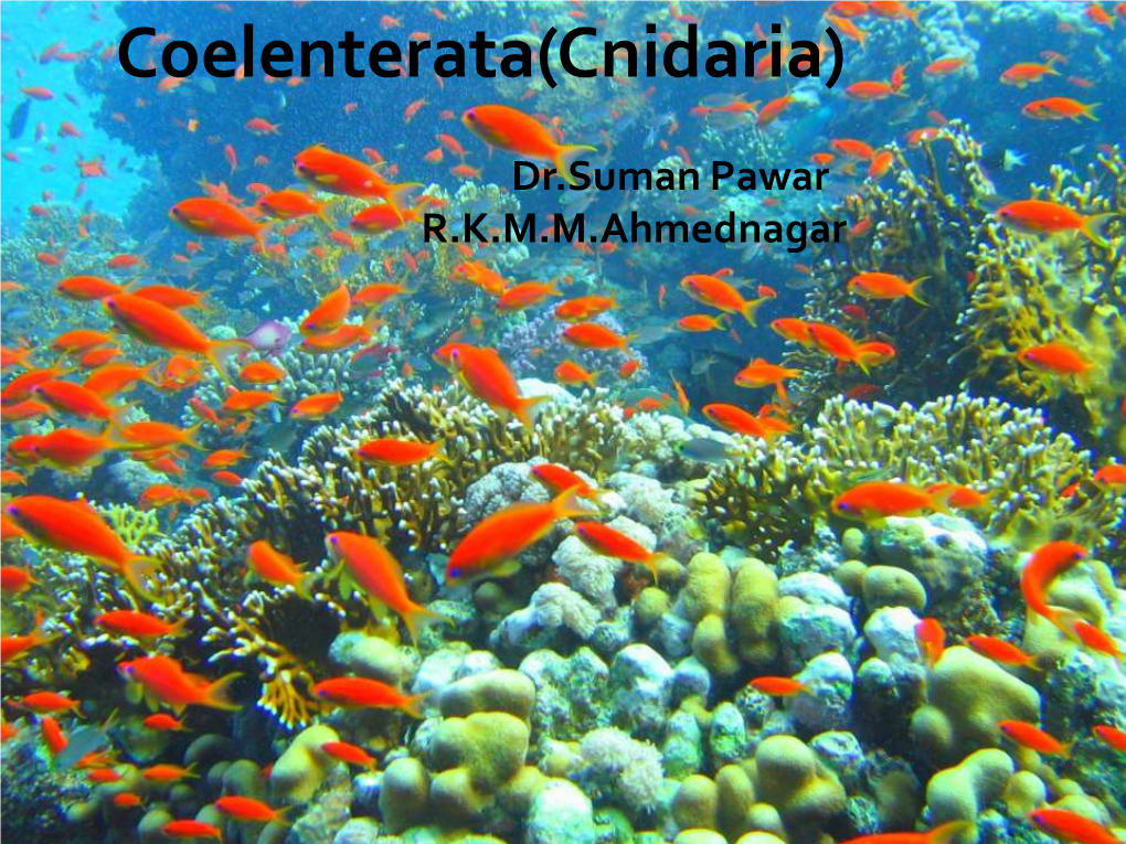 Coelenterata(Cnidaria)