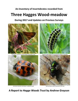 Three Hagges Wood-Meadow