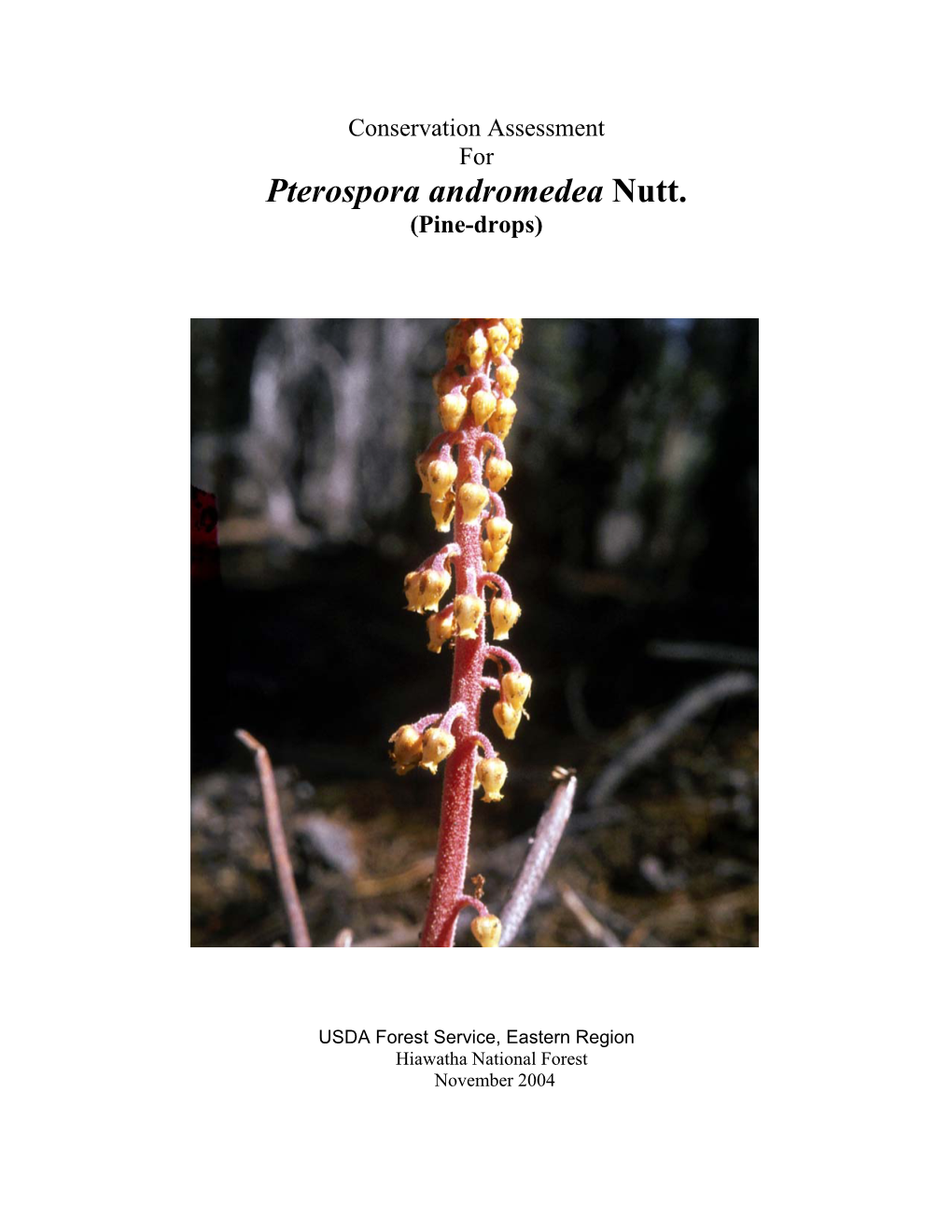 Conservation Assessment for Pterospora Andromedea Nutt