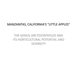 Manzanitas, California's “Little Apples”