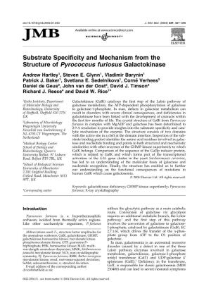 Substrate Specificity and Mechanism from the Structure of Pyrococcus