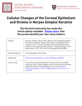 Cellular Changes of the Corneal Epithelium and Stroma in Herpes Simplex Keratitis