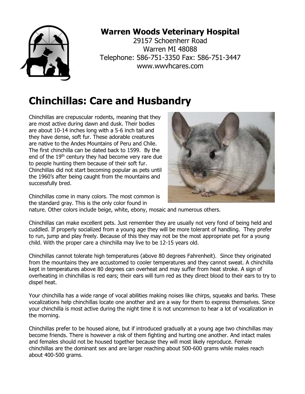 Chinchillas Are Crepuscular Rodents, Meaning That They Are Most Active During Dawn and Dusk
