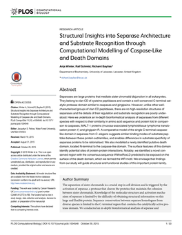 Structural Insights Into Separase Architecture and Substrate Recognition Through Computational Modelling of Caspase-Like and Death Domains