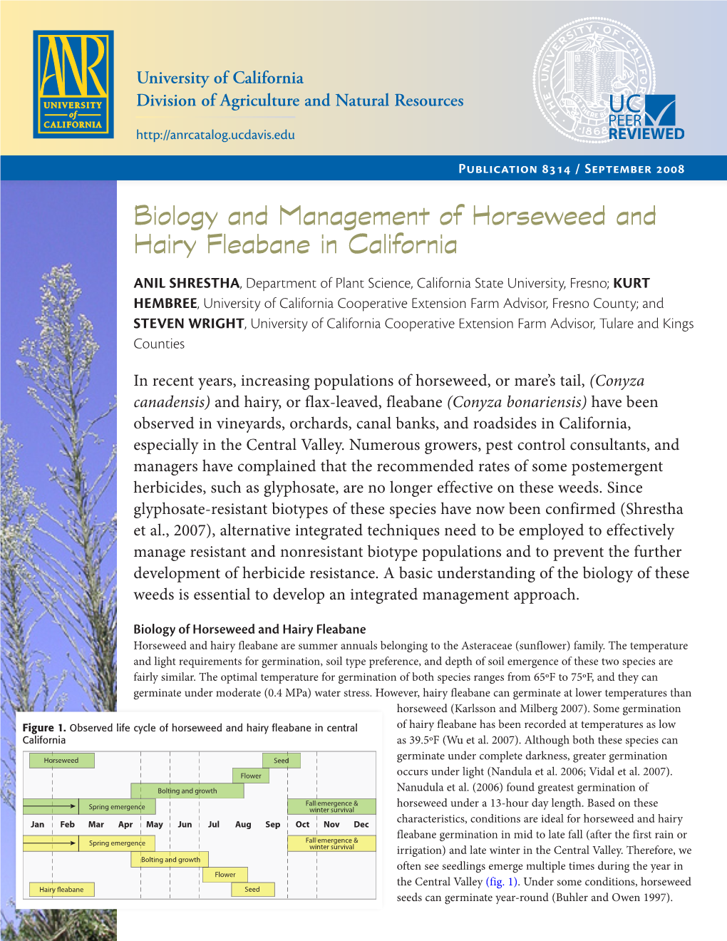Biology and Management of Horseweed and Hairy Fleabane in California