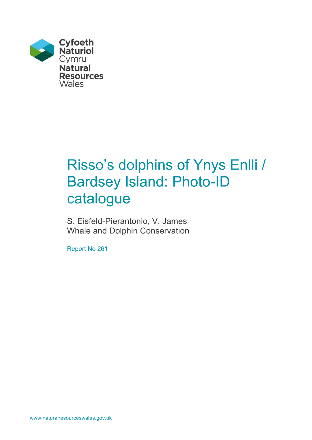 Risso's Dolphins of Ynys Enlli / Bardsey Island