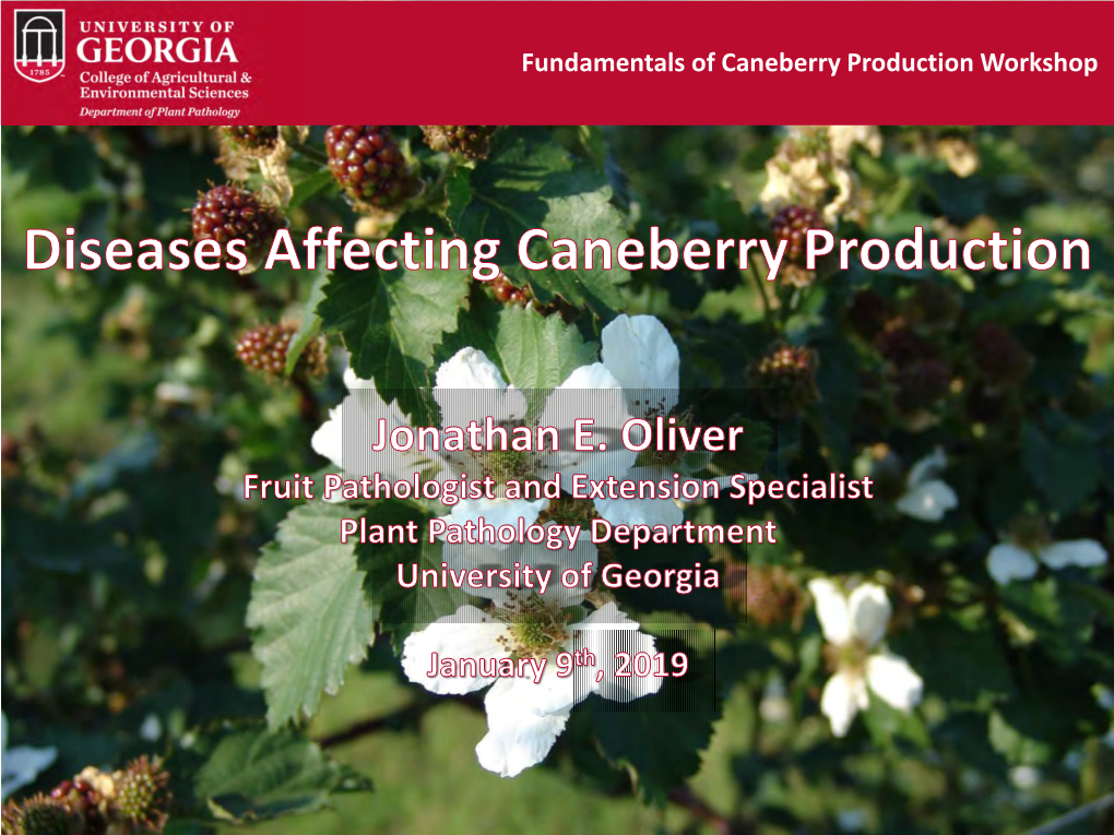 Fundamentals of Caneberry Production Workshop Understanding Pathogen Biology & Diversity ESTABLISHMENT CONSIDERATIONS OUTLINE for Novel Control of Plant Diseases