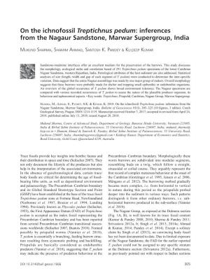 On the Ichnofossil Treptichnus Pedum: Inferences from the Nagaur Sandstone, Marwar Supergroup, India