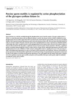 Porcine Sperm Motility Is Regulated by Serine Phosphorylation of the Glycogen Synthase Kinase-3A