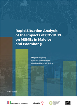 Rapid Situation Analysis of the Impacts of COVID-19 on Msmes in Malolos and Paombong