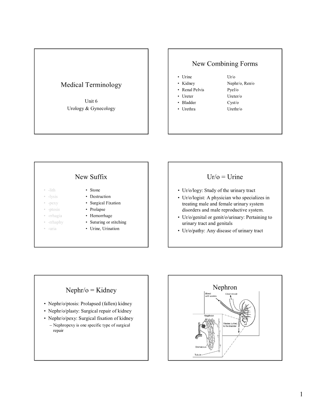 Medical Terminology • Kidney Nephr/O, Ren/O • Renal Pelvis Pyel/O