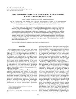 Spore Morphology in Relation to Phylogeny in the Fern Genus Elaphoglossum (Dryopteridaceae)