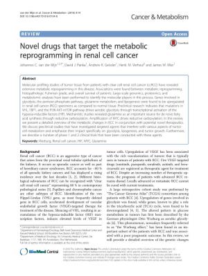 VIEW Open Access Novel Drugs That Target the Metabolic Reprogramming in Renal Cell Cancer Johannes C