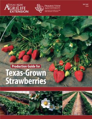 Production Guide for Texas-Grown Strawberries