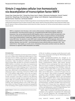 Sirtuin 2 Regulates Cellular Iron Homeostasis Via Deacetylation of Transcription Factor NRF2