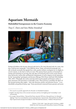 Aquarium Mermaids Multiskilled Entrepreneurs in the Creative Economy Tracy C