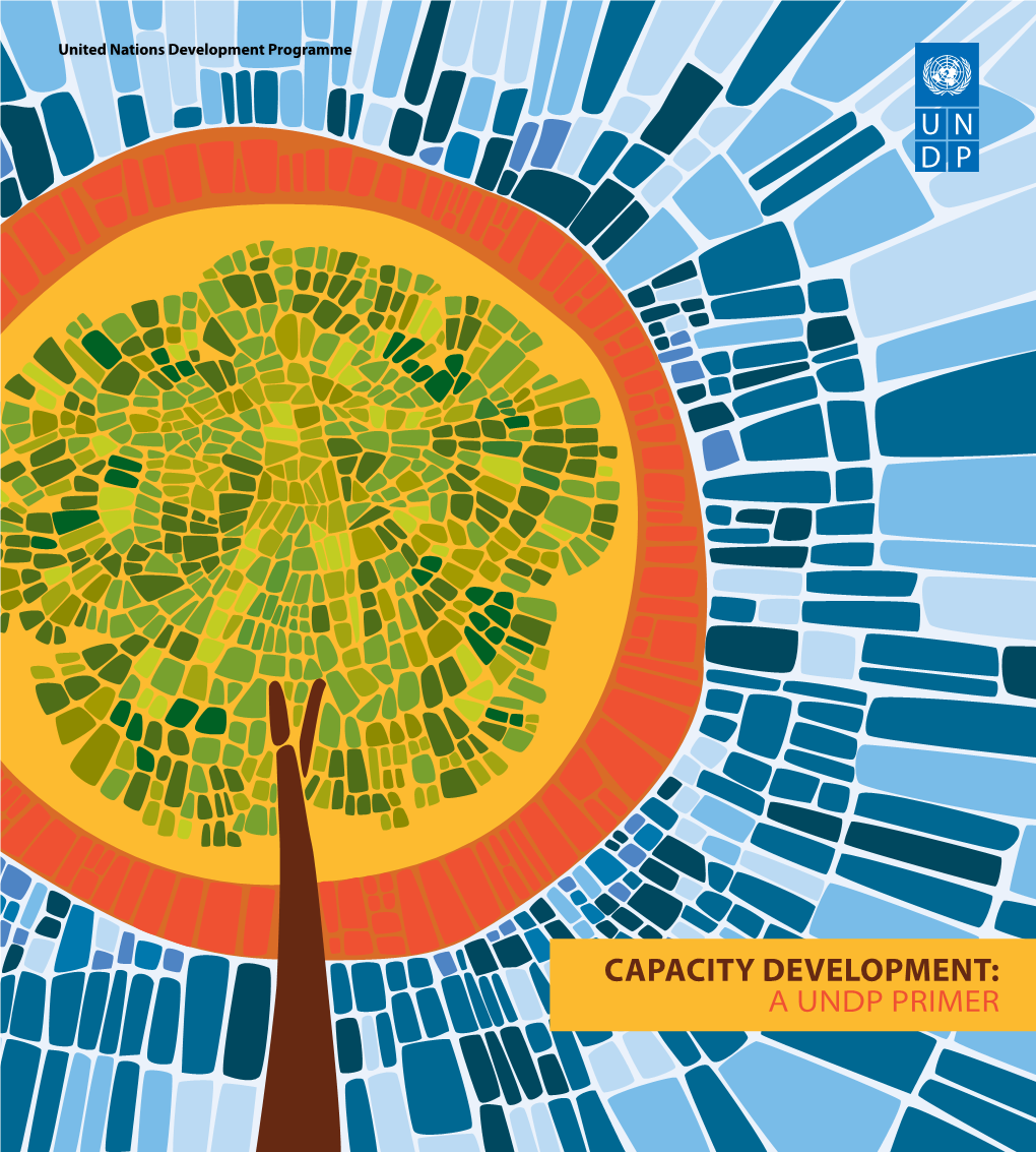 Capacity Development: a Undp Primer I