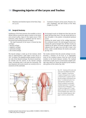 14 Diagnosing Injuries of the Larynx and Trachea
