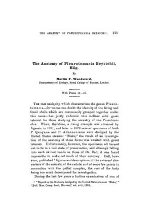 The Anatomy of Pleurotomaria Beyrichii, Hilg. by Martin F