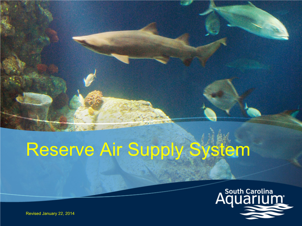 Reserve Air Supply System