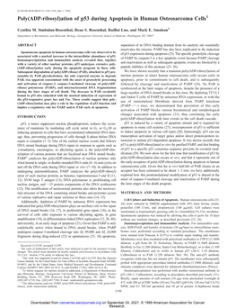 Poly(ADP-Ribosyl)Ation of P53 During Apoptosis in Human Osteosarcoma Cells1