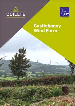 Castlebanny Wind Farm Dear Homeowner
