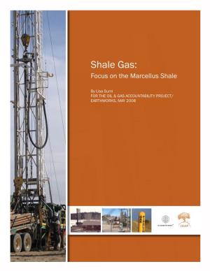 Shale Gas: Focus on the Marcellus Shale