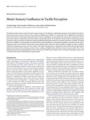 Motor-Sensory Confluence in Tactile Perception