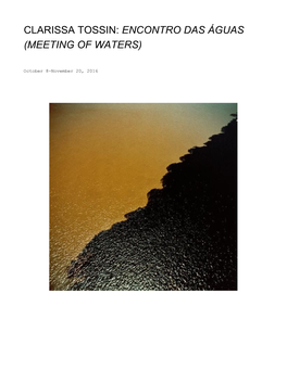 Clarissa Tossin: Encontro Das Águas ​ (Meeting of Waters)