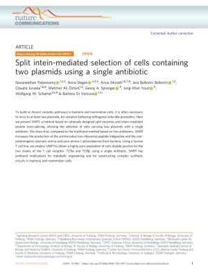 Split Intein-Mediated Selection of Cells Containing Two Plasmids Using a Single Antibiotic