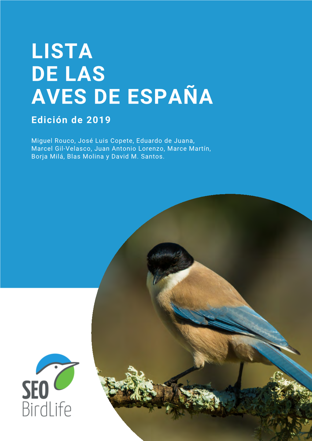 Lista De Las Aves De España 2019