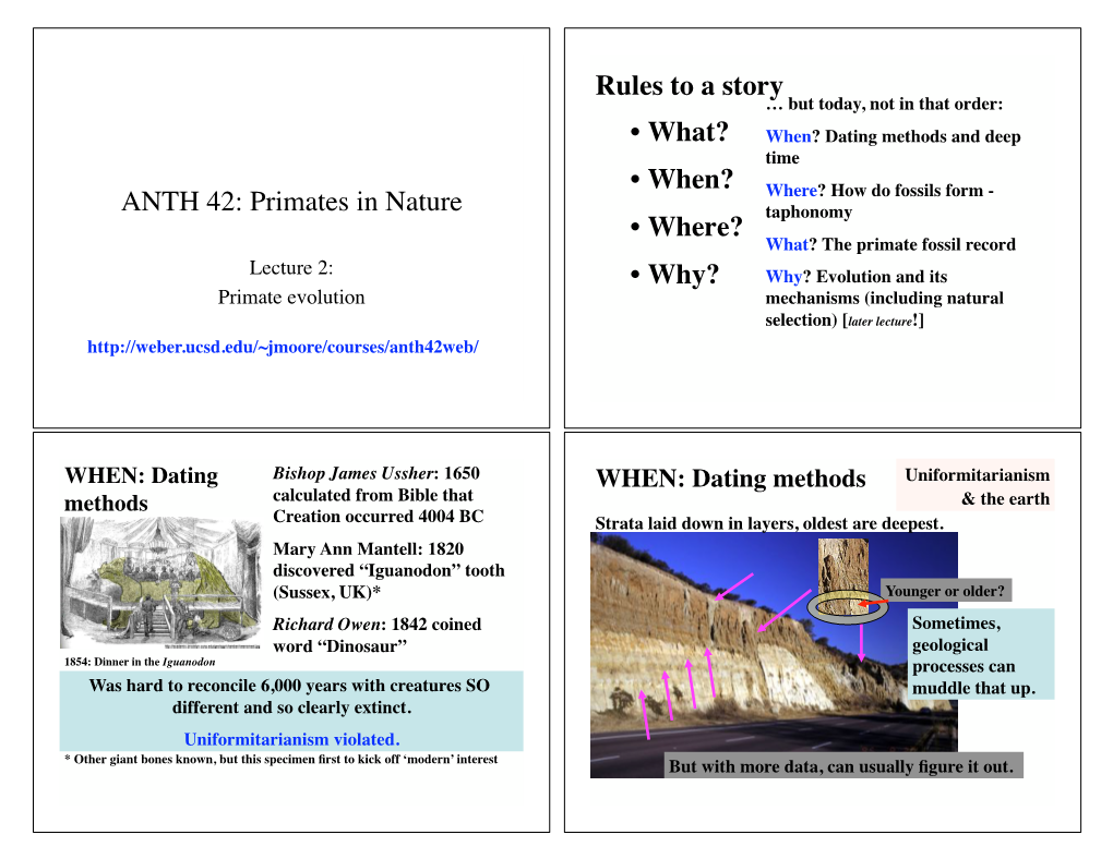 ANTH 42: Primates in Nature Rules to a Story •What? •When? •Where