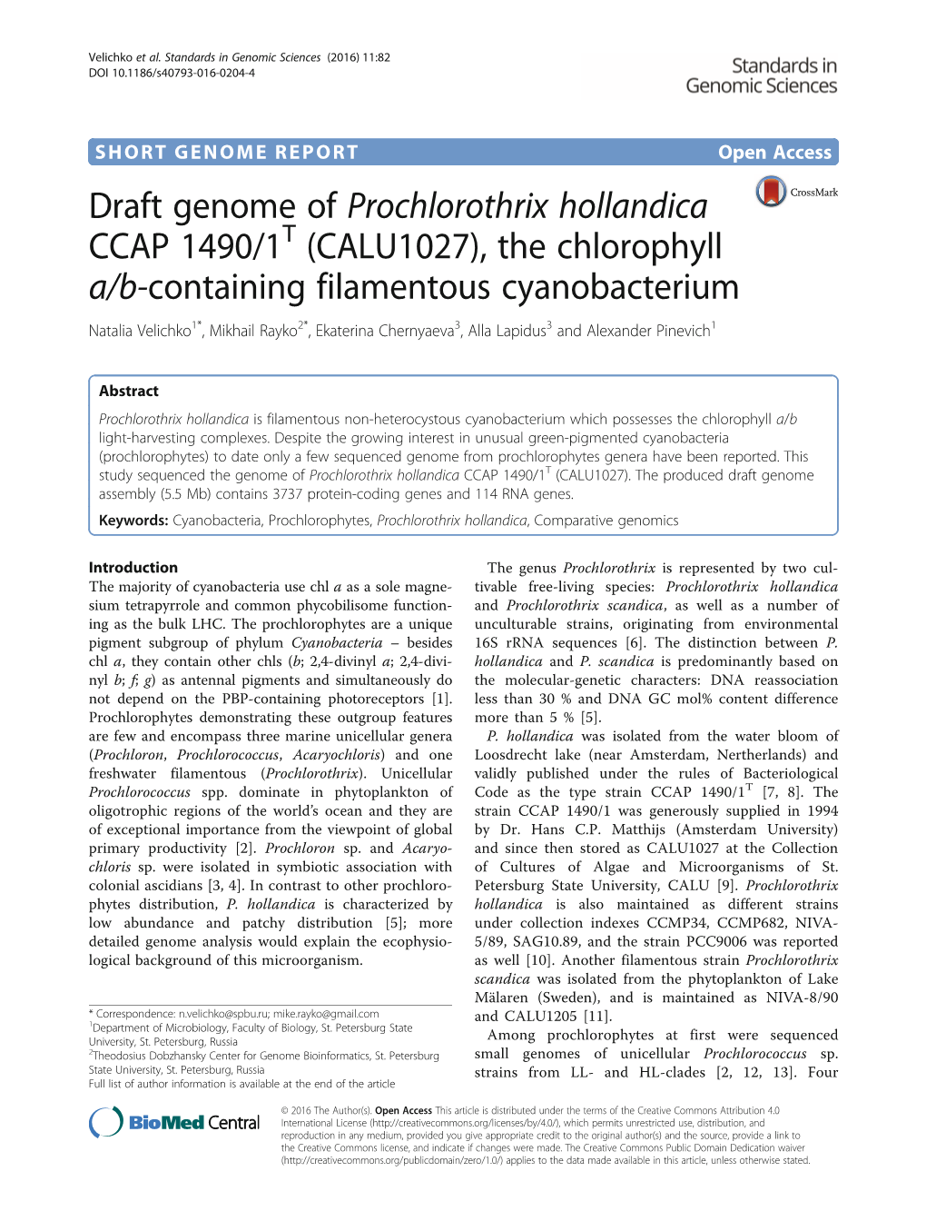Draft Genome of Prochlorothrix Hollandica CCAP 1490/1T