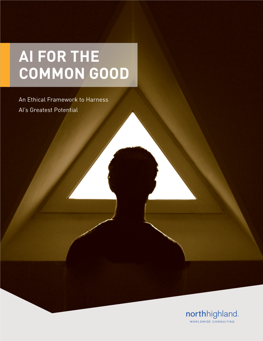 Ai for the Common Good
