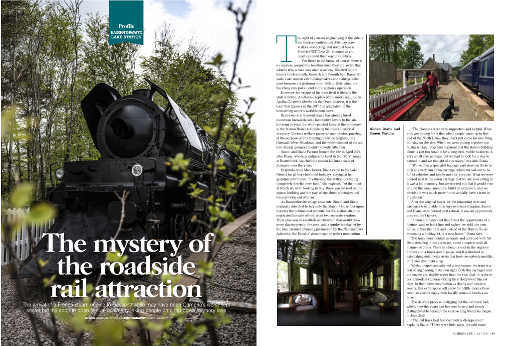 The Mystery of the Roadside Rail Attraction