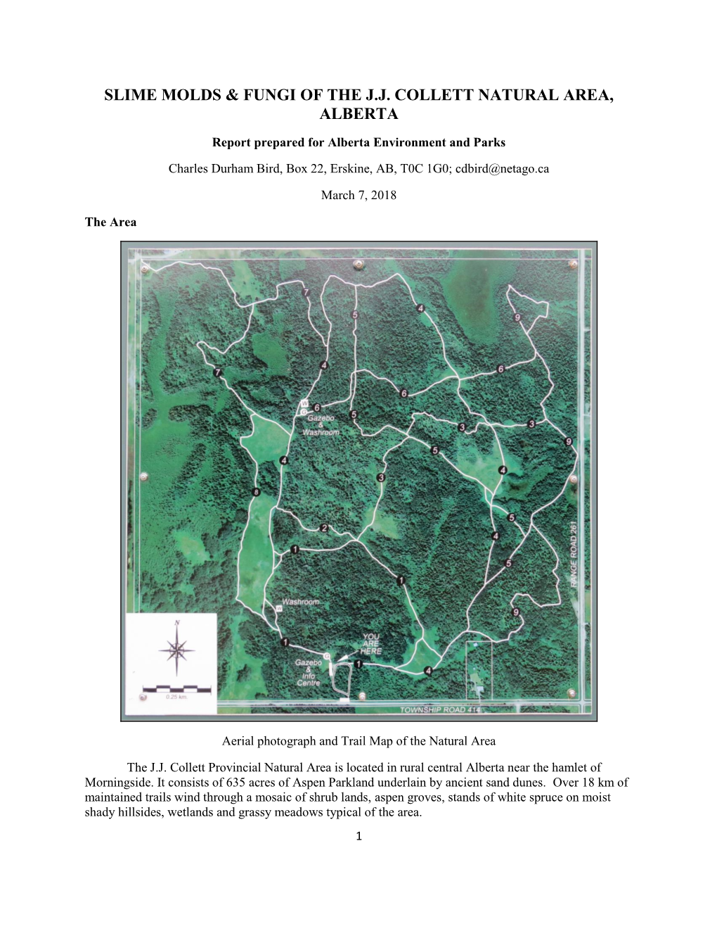 Slime Molds & Fungi of the J.J. Collett Natural Area, Alberta – 7 March 2018