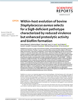 Within-Host Evolution of Bovine Staphylococcus Aureus
