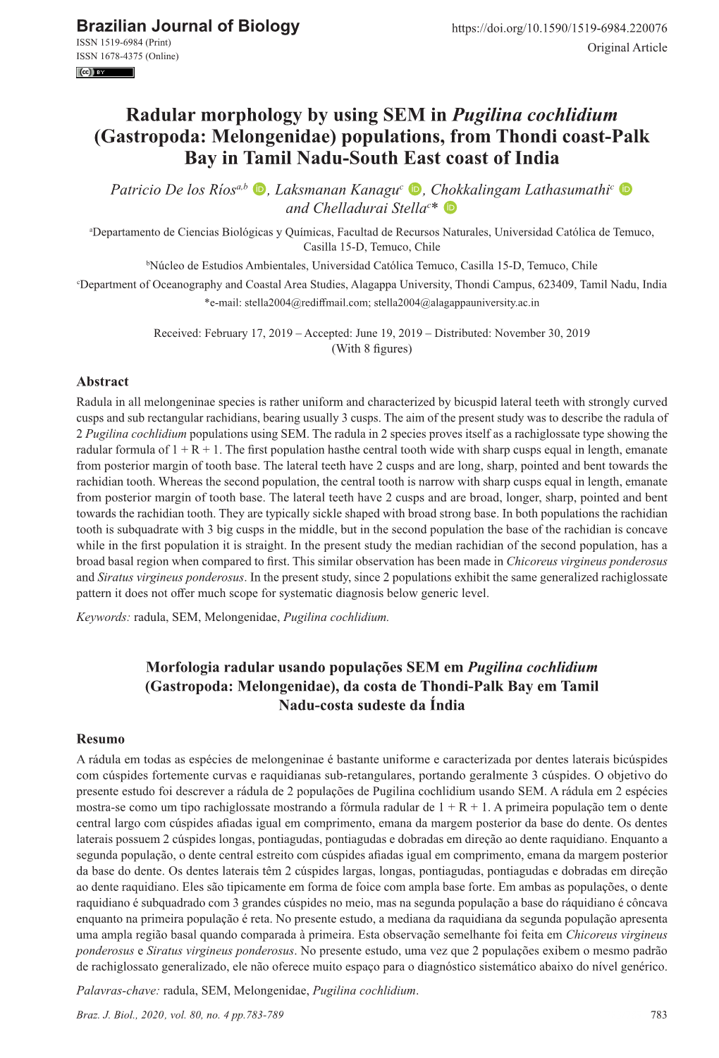 Radular Morphology by Using SEM in Pugilina Cochlidium (Gastropoda