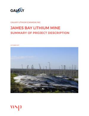 James Bay Lithium Mine Summary of Project Description