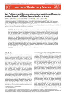 Late Pleistocene and Holocene Afromontane Vegetation and Headwater Wetland Dynamics Within the Eastern Mau Forest, Kenya