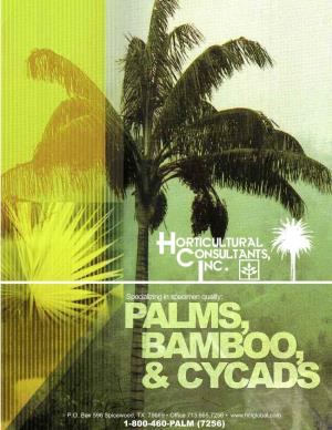 Cold-Hardy Palm, Bamboo, & Cycad Catalog